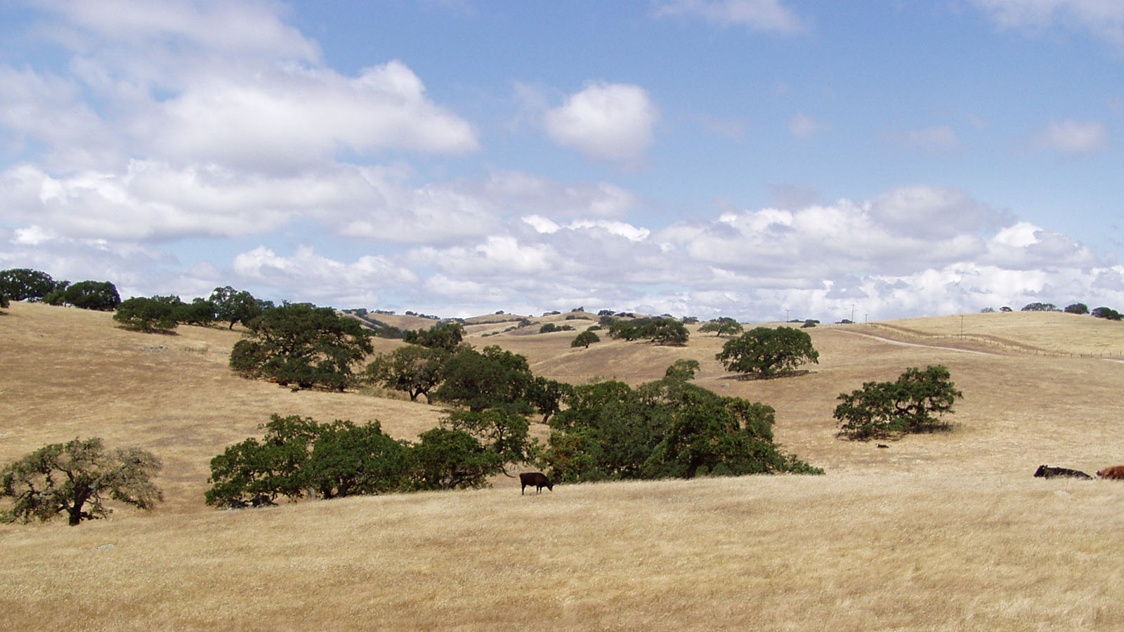 Clark Company Rancho El Toro